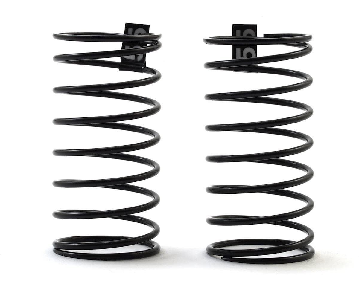 HB Racing D4/D2 Front Spring Set (55)
